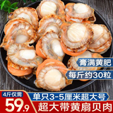 鲜拔头筹 扇贝肉超大带黄扇贝肉  新鲜大扇贝蒜蓉粉丝扇贝生鲜贝类 大号  扇贝肉  2000g（净重）