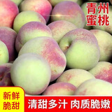 青州蜜桃桃子新鲜脆桃硬桃毛桃脆桃脆甜非水蜜桃硬脆新鲜水果整箱 带箱5斤精品果