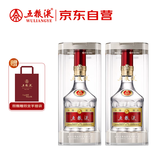 五粮液 普五八代  浓香型白酒 52度 500ml*2 双瓶 【名酒鉴真】年份随机