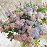 芊芊细语斗南基地直批发玫瑰鲜花全国速递配送女友礼物家用水养插花家庭 碎冰蓝泡泡10支（折射泡泡喷色而成）