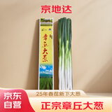京地达正宗山东章丘大葱7斤礼盒 精选切叶蔬菜地方特产源头直发包邮