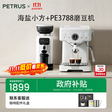 柏翠(petrus) 咖啡机意式浓缩家用小型半自动蒸汽打奶泡 海盐小方PE3833+PE3788