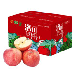 农鲜淘 洛川红富士苹果 8斤 单果200g+ 新鲜水果生鲜脆甜陕西礼盒