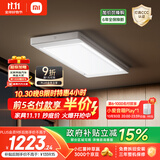 米家智能晾衣机2 Pro 【国家补贴】小米电动隐形晾衣架3D曲面穹顶灯