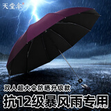 天堂 伞黑胶遮阳晴雨伞双人加大男女三折叠太阳伞定制印刷LOGO广告伞 绛红双人黑胶升级款加大加固 10骨 【抗雷暴雨】