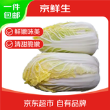 京鲜生山东新鲜大娃娃菜净重3斤单棵300g+新鲜蔬菜 黄心娃娃菜源头直发