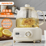 九阳（Joyoung）1L容量0胶水全玻璃净萃养生壶316L茶篮800W速热家用多功能保温烧水壶 智能双检防溢防干烧轻音炖煮 0胶水全玻璃净萃壶 1L 【316L茶篮】