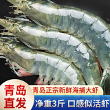 混元兽 虾国产青岛鲜捕大虾特大号 青虾冻海虾生鲜 虾类白虾 青岛水冻大虾 3斤(净重)  17-21厘米【虾王】