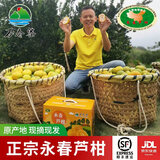 万春寨永春正宗芦柑 柑桔 橘子福建芦柑10斤新鲜当季水果桔子蜜橘子大果 【优选大果】果径75mm带箱10斤装