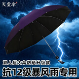 天堂 伞黑胶遮阳晴雨伞双人加大男女三折叠太阳伞定制印刷LOGO广告伞 紫色双人黑胶升级款加大加固 10骨 【抗雷暴雨】