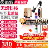 鸿益德艾灸仪器一体机无烟家用熏蒸仪美容院全身温养理疗仪烤电艾炙灯 金色语音旗舰款-十二核加热+热炙温控