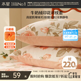 水星家纺枕套暖绒抗静电冬季保暖牛奶绒枕头套一对装双人家用48x74cm