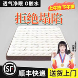 禾屋纪椰棕床垫硬棕垫1.8*2米宿舍护脊棕榈床垫家用榻榻米天然乳胶床垫 8CM/偏硬款=6cm椰 1800mm*2000mm