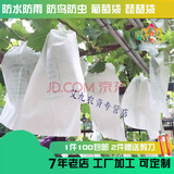 葡萄套袋葡萄专用套袋育果袋纸袋葡萄袋子防水防菌葡萄袋防虫袋 22*32厘米套2斤内葡萄【100个】