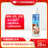 味全 【新品上市】每日C好喝椰 椰汁植物蛋白饮料1600ml家庭装