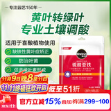 美乐棵硫酸亚铁花肥水溶肥调酸预防植物叶黄肥料100G