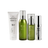 荟名门斗痘膏氨基酸洁面乳芦荟胶精萃原液芦荟祛痘清洁补水护肤套装 斗痘膏+洗面奶+芦荟胶+芦荟原液