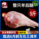 公羊去骨羊后腿肉生羊腿肉新鲜现杀整只鲜羊肉羔羊肉 5斤后腿原装整只