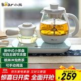 小熊（Bear）煮茶器煮茶壶 0.8L蒸汽喷淋式蒸茶壶养生壶电水壶热水壶304不锈钢烧水壶茶具黑茶ZCQ-A08E1