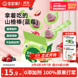 宝宝馋了山楂棒儿童零食棒棒糖型原果制作水果条无添加香精蓝莓味72g