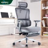 恋树（LIANSHU） L1电脑椅家用 人体工学椅子 办公椅可躺 老板椅 转椅 撑腰电竞椅 灰色凌云版(6D扶手)海绵版+脚托