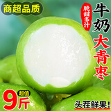 晟容果蔬福建贵妃牛奶大青枣当季新鲜水果蜜甜脆枣孕妇冬季枣子礼盒送礼 净重3斤【尝鲜试吃-量少】 【老树果】单果60g+