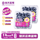 佳沃 JOYVIO 云南蓝莓甜蜜花香系列 14mm+ 2盒装 约125g/盒 新鲜水果 