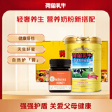 荷兰乳牛中老年营养奶粉900g+麦卢卡（10+）蜂蜜250g礼盒 高钙富硒送长辈