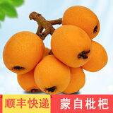 绿养道【顺丰快递】云南蒙自新鲜枇杷果 新鲜水果 净重 3斤