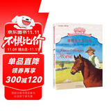 摆渡船当代世界儿童文学金奖书系：摩根先生有匹马
