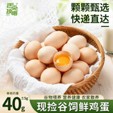 舌尖攻略蛋墩墩农家散养鸡蛋谷饲鲜鸡蛋农家鸡蛋早餐食材蛋白单枚40g±5g 谷饲鲜鸡蛋 4枚
