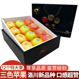 洛川苹果陕西延安红富士时令苹果水果礼盒礼品苹果生鲜新鲜脆甜整箱好吃 三果混装 12枚大果礼盒款 尊享装