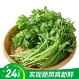【24小时鲜】富硒香芹苗200g(长度≤40cm)
