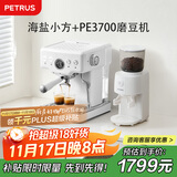 柏翠(petrus)咖啡机意式浓缩家用小型半自动蒸汽打奶泡 海盐小方PE3833+PE3700