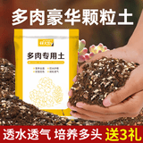 花大师 多肉营养土专用颗粒土多肉土壤盆栽种植土幼苗成苗老桩透气土 豪华多肉土5斤X2袋 幼苗成苗通用