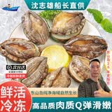 沈志雄东山岛澳角渔村鲜活速冻深海大鲍鱼黄金鲍皇金鲍年货年夜饭送礼 6头鲍12只(12只共1.8-2斤左右)