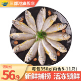 三都港 海捕新鲜宁德小黄花鱼350g/包【约8-11只】冷冻海鲜生鲜烧烤食材 海捕小黄鱼350克*3袋