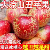 土地母亲计划 大凉山丑苹果冰糖心盐源苹果富士水果时令新鲜应季整箱 盐源丑苹果5斤 中果14-17枚
