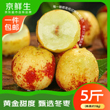 京鲜生山东沾化冬枣 净重5斤 单果20g+ 新鲜水果 清脆爽口 源头直发包邮