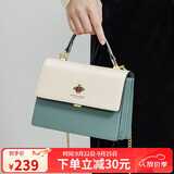 蔻一（Cnoles）包包女士款2025年最新款牛皮女生高端斜挎包通勤大容量单肩包