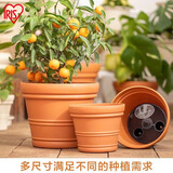 爱丽思（IRIS）特大号圆形花盆种树庭院超大加厚大盆景树木无花果蓝莓果树种植盆 8号茶色 约4.9L  (口径23.9cm)