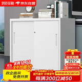 洛克菲勒文件柜铁皮柜办公室档案柜带锁移门桌边储物柜高760宽900