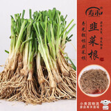 寿禾 韭菜根苗老品种农家种蔬菜苗 四季韭菜根190棵带肥源头直发包邮