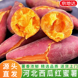 京地达河北西瓜红蜜薯糖心烤红薯番薯新鲜蔬菜4.5斤中果源头直发包邮
