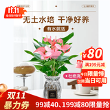 叹为观止18种吊兰任你选金边吊兰各种盆栽花卉客厅垂吊桌面植物净化空气 水培粉掌【玻璃瓶】收到即赏 含盆