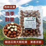 京鲜生 云南有机鲜夏威夷果 净重1000g鲜果 奶香四溢 绵密回香 源头直发