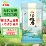 金龙鱼东北大米 长粒香大米 臻选长粒香10斤