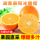 甜果源 麻阳冰糖橙 手剥橙子湖南高山脐甜橙子果冻甜橙当季新鲜水果 净重3斤【尝鲜装】 单果60-65mm【精选中果】