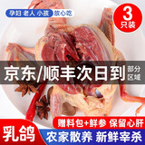 颐乡情农家新鲜宰杀鸽子肉鸽子 生鲜鸽子乳鸽老鸽子 煲汤孕妇滋补鸽子汤 乳鸽3只（每只净400g）送料包+人参