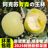 骄瑰新疆阿克苏王林苹果 顺丰快递-送货上门 青森水蜜桃苹果礼盒装 净重8斤礼盒 果王 85mm +15枚） 顺丰快递 阿克苏直发